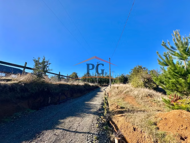 EN VENTA TERRENO 5000M2 CHANCOYAN BAJO VALDIVIA - Imagen 14