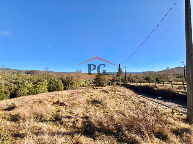 EN VENTA TERRENO 5000M2 CHANCOYAN BAJO VALDIVIA - Imagen 7