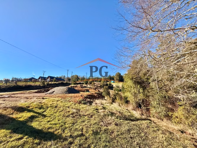 EN VENTA TERRENO 5000M2 CHANCOYAN BAJO VALDIVIA - Imagen 10
