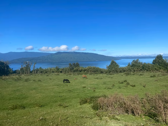 VENTA PARCELA LAGO RUPANCO SECTOR PULELFU