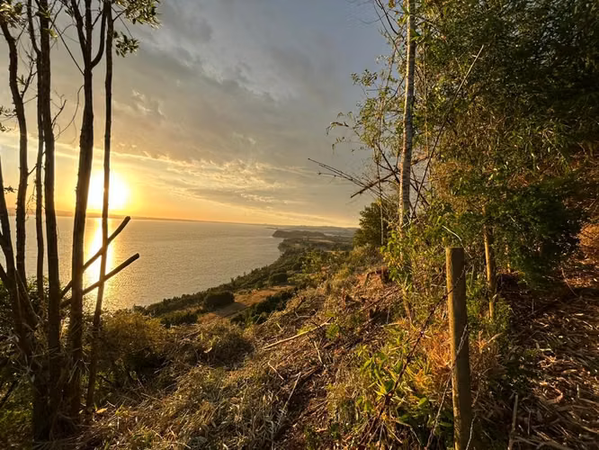 VENTA PARCELA LAGO RUPANCO SECTOR PULELFU