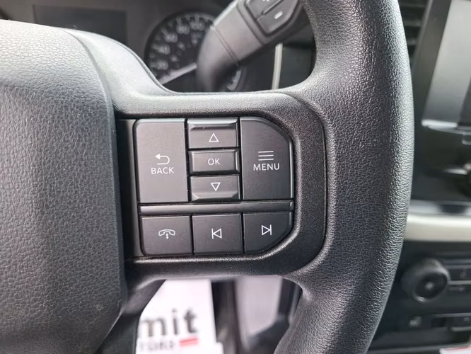 FORD F-150 2022 - Imagen 13