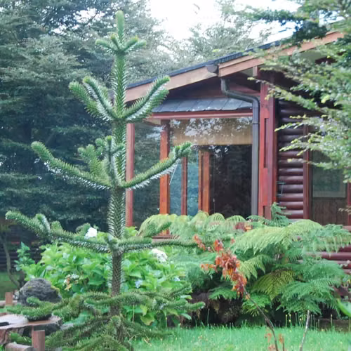 VENDO COMPLEJO TURISTICO PUERTO VARAS
