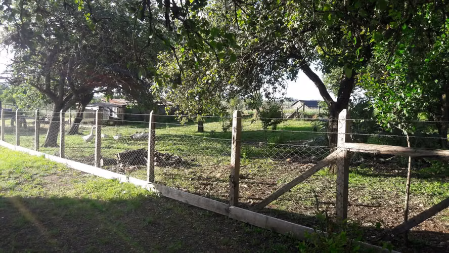 Arriendo cabaña en el campo (entre Frutillar y Puerto Varas)
