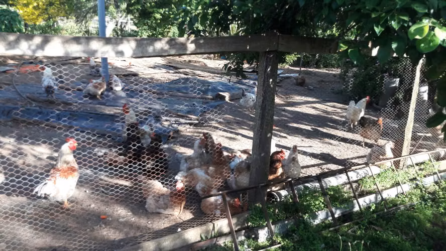 Arriendo cabaña en el campo (entre Frutillar y Puerto Varas)
