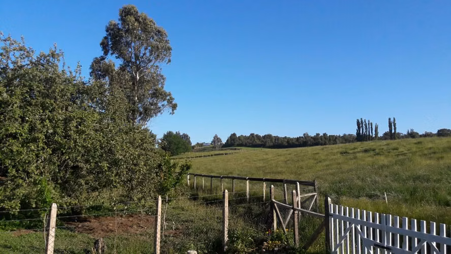 Arriendo cabaña en el campo (entre Frutillar y Puerto Varas)