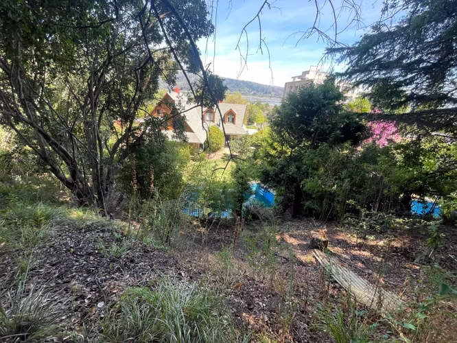 VENDO SITIO EN LONCO (182553) - Imagen 12