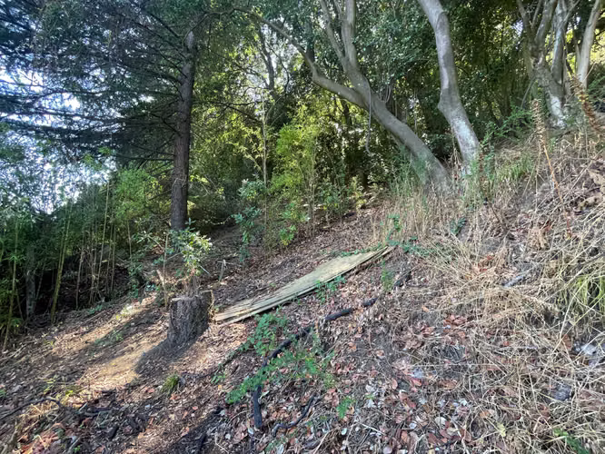 VENDO SITIO EN LONCO (182553) - Imagen 11