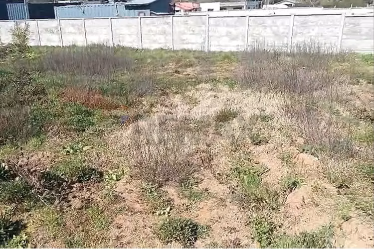 Terreno en venta en hualqui, sector totoritas
