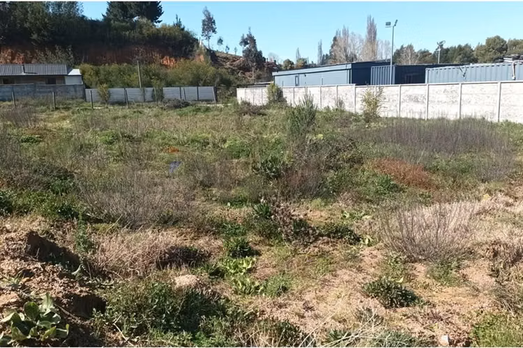 Terreno en venta en hualqui, sector totoritas