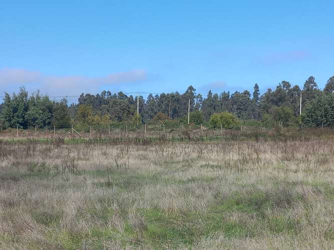 Vendo 7.934 mtrs. 2 de Terreno Plano, Especial Para Descansar, Sector El Llano, Pelarco. Abone 20% y el resto en cuotas.