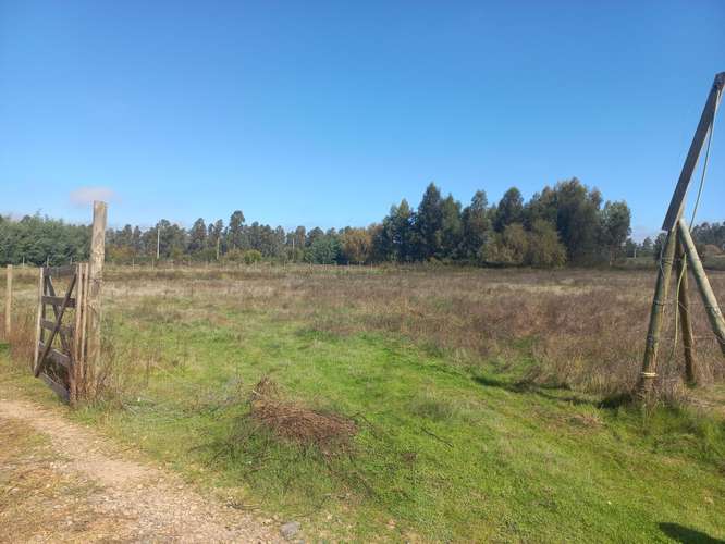 Vendo 7.934 mtrs. 2 de Terreno Plano, Especial Para Descansar, Sector El Llano, Pelarco. Abone 20% y el resto en cuotas.