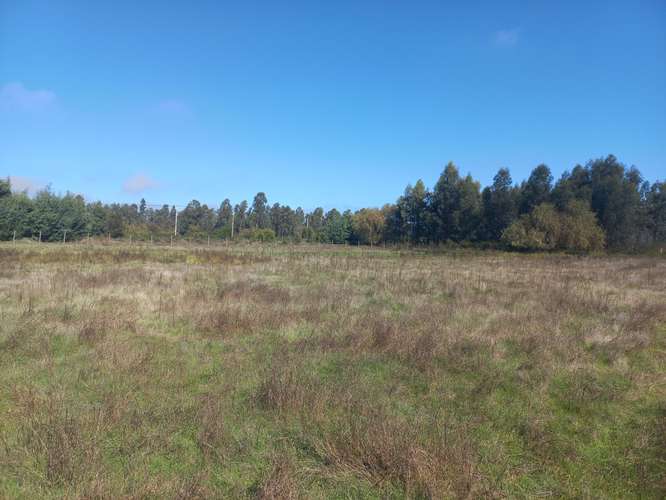 Vendo 7.934 mtrs. 2 de Terreno Plano, Especial Para Descansar, Sector El Llano, Pelarco. Abone 20% y el resto en cuotas.