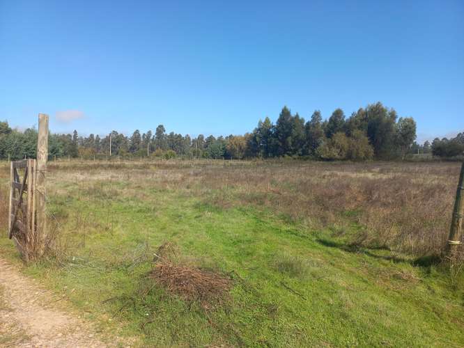 Vendo 7.934 mtrs. 2 de Terreno Plano, Especial Para Descansar, Sector El Llano, Pelarco. Abone 20% y el resto en cuotas.