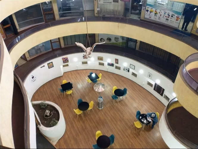 Venta oficina, centro de Talca - Imagen 8