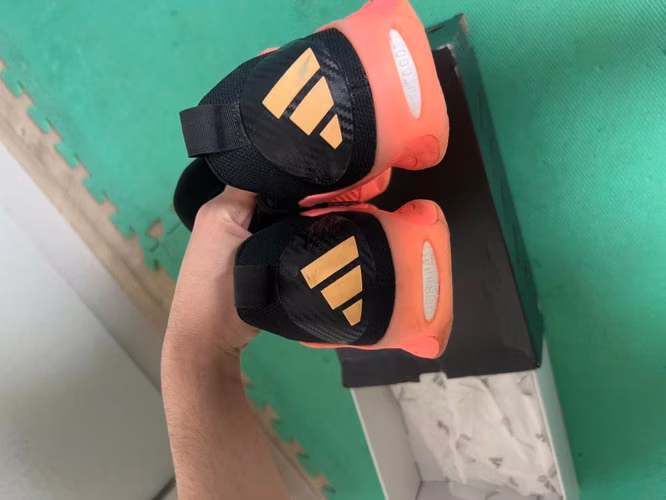 Zapatillas básquet