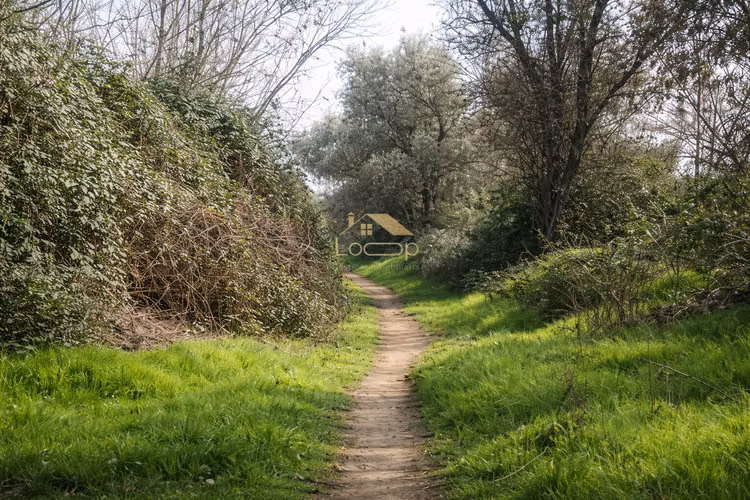 Oportunidad: Terreno plano de 3,1 hectáreas en Culitrín  – Camino a Chada