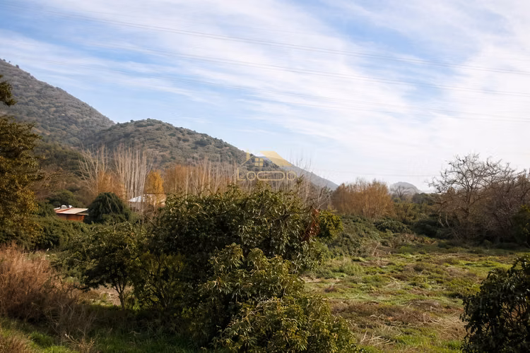 Oportunidad: Terreno plano de 3,1 hectáreas en Culitrín  – Camino a Chada