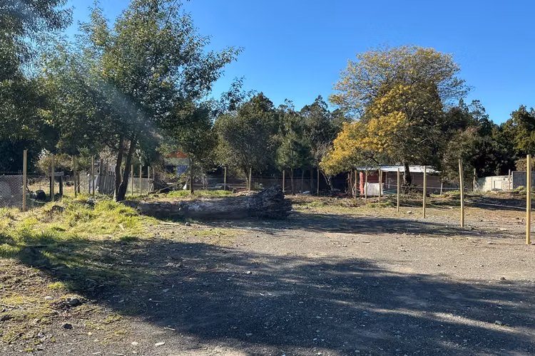 Sitios en venta en pucón