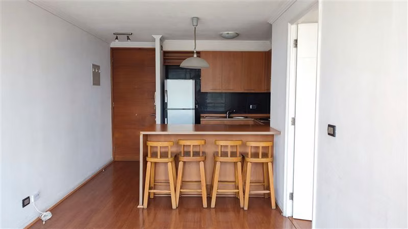 Arriendo depto av. Manuel Montt 275, Providencia. 1D.1B - Imagen 2