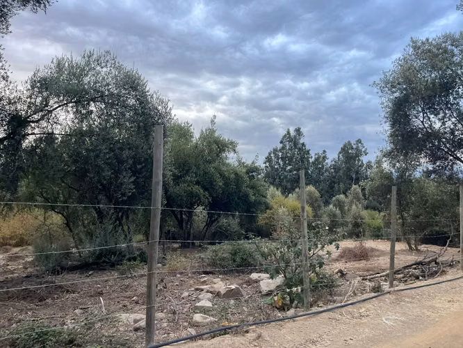 Se Vende Parcela Junto A La Reserva Tipaume En Rengo
