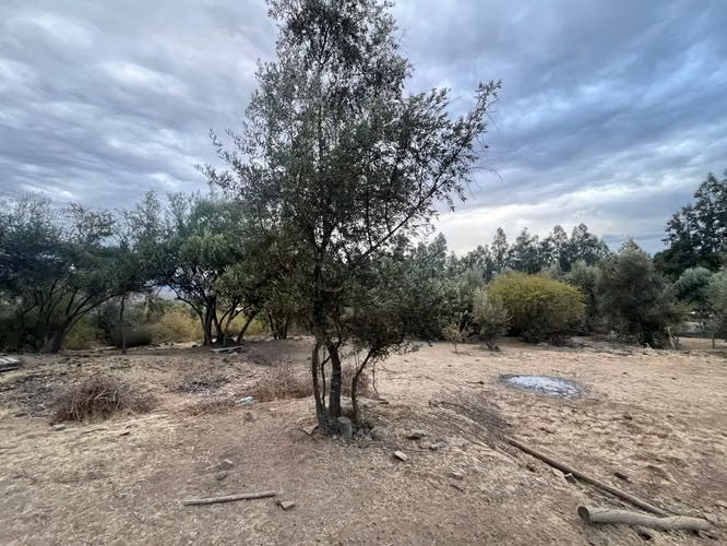 Se Vende Parcela Junto A La Reserva Tipaume En Rengo
