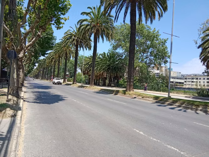ARRIENDO OFICINA, 1 NORTE CON 2 PONIENTE, 1 PRIVADO, ESTACIONAMIENTO. - Imagen 16