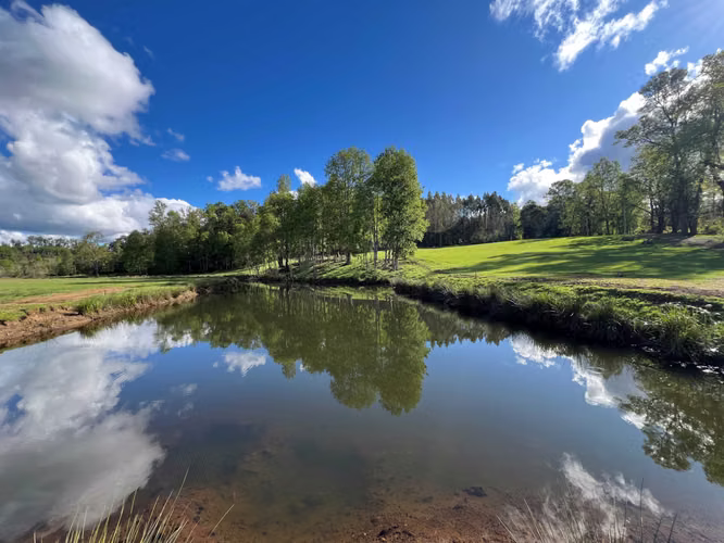 Parcelas con Río y Laguna a 25min Villarrica (182668) - Imagen 13