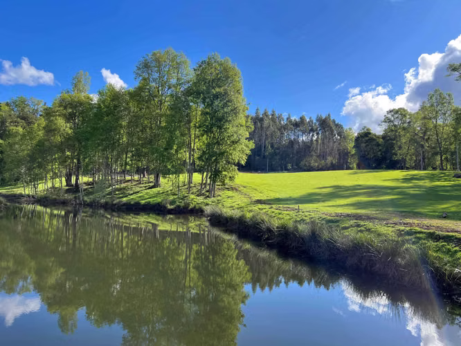 Parcelas con Río y Laguna a 25min Villarrica (182668) - Imagen 5