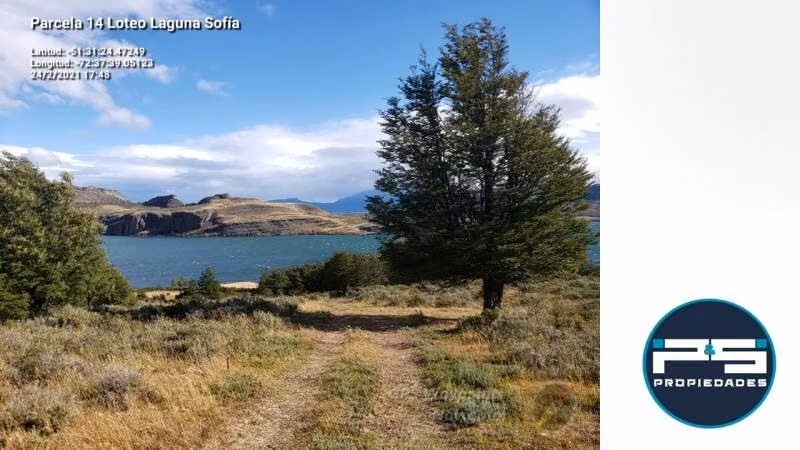 Parcelas Lago Sofía, Puerto Natales: de 1 a 20 hectáreas con rol e inscritas (UF 1.670 por hectárea)