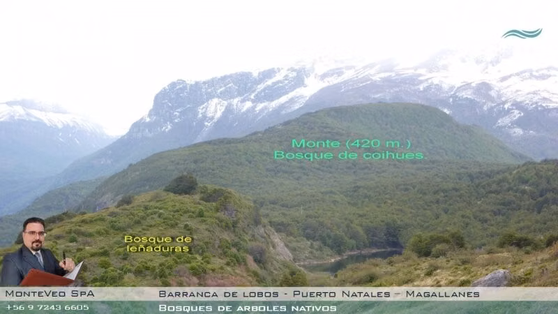 Loteo rural Barranca de Lobos, Puerto Natales: parcelas de 5 a 20 hectáreas (UF 780 por hectárea)