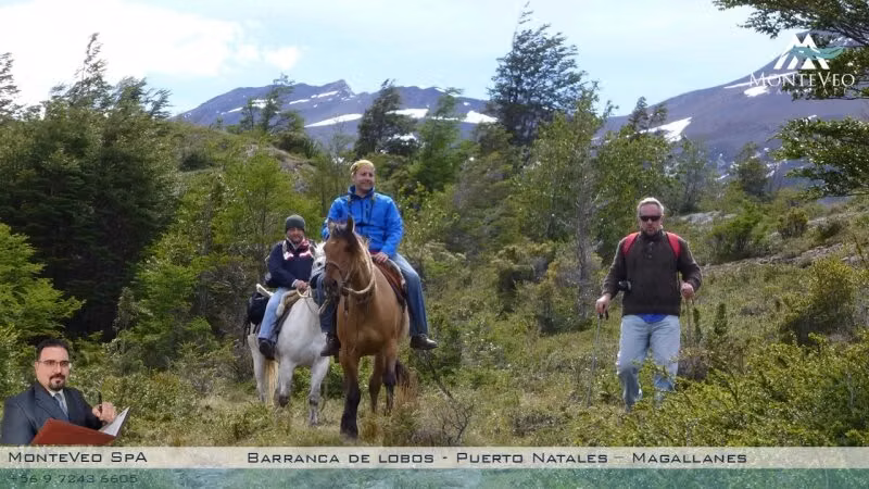 Loteo rural Barranca de Lobos, Puerto Natales: parcelas de 5 a 20 hectáreas (UF 780 por hectárea)