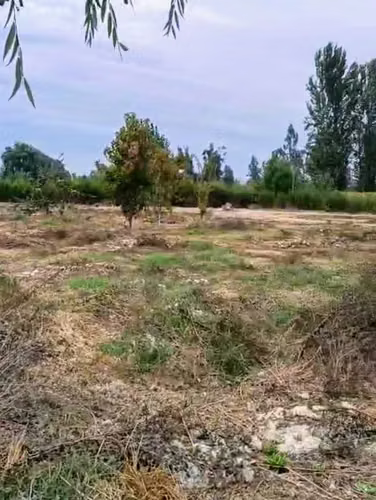 Excelente terreno 3600 m2 Coltauco (182685) - Imagen 3