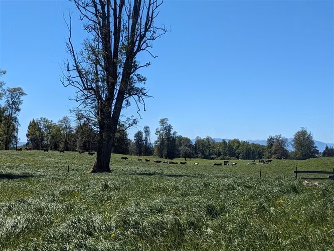 Venta Parcela en Paillaco, Lago Ranco