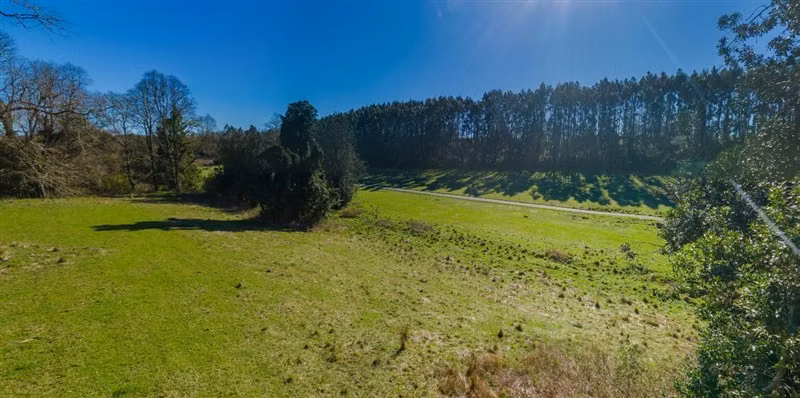 Venta Parcela en Paillaco, Lago Ranco