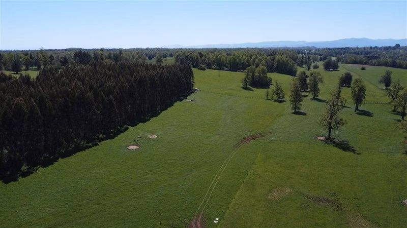 Venta Parcela en Paillaco, Lago Ranco