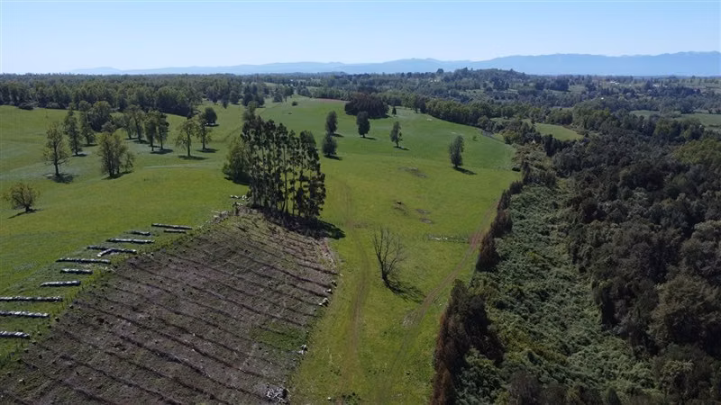 Venta Parcela en Paillaco, Lago Ranco