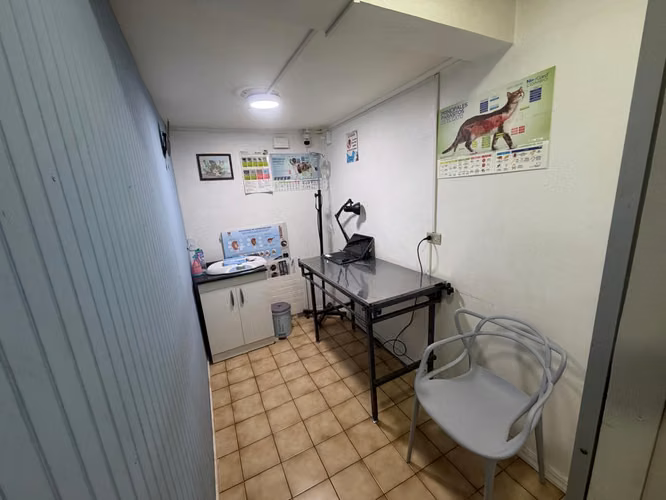 Arrendamos Excelente Casa Comercial En Av. Las Encinas De Temuco - Imagen 5