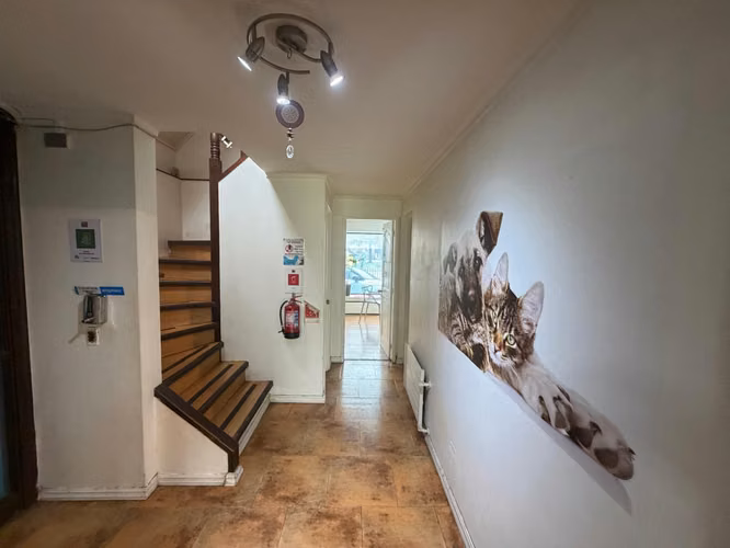 Arrendamos Excelente Casa Comercial En Av. Las Encinas De Temuco - Imagen 13
