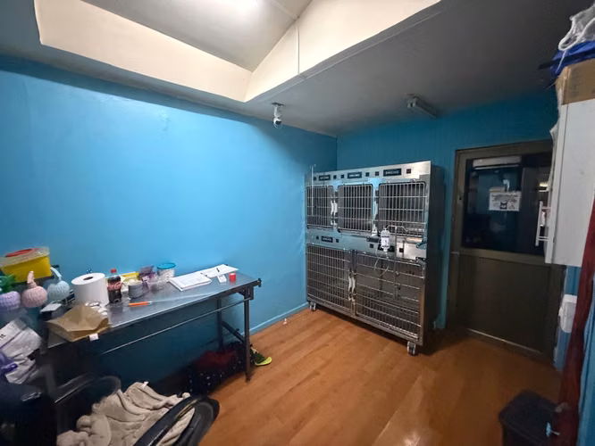 Arrendamos Excelente Casa Comercial En Av. Las Encinas De Temuco - Imagen 9