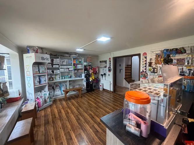 Arrendamos Excelente Casa Comercial En Av. Las Encinas De Temuco - Imagen 3