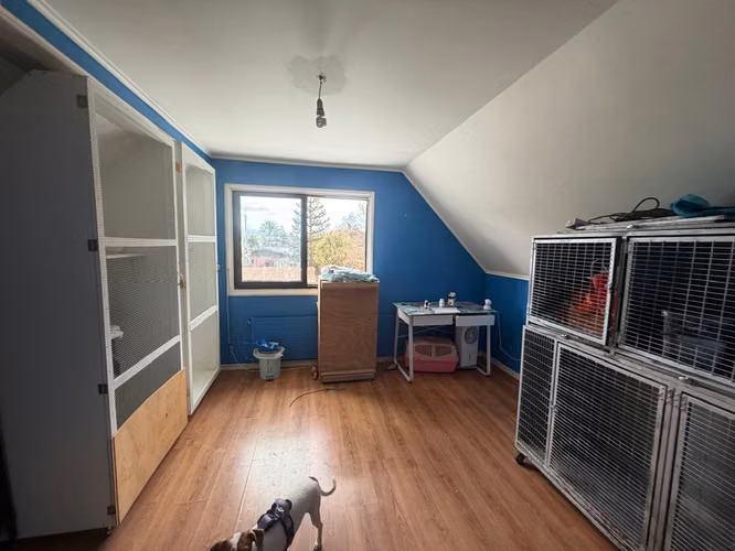 Arrendamos Excelente Casa Comercial En Av. Las Encinas De Temuco - Imagen 11