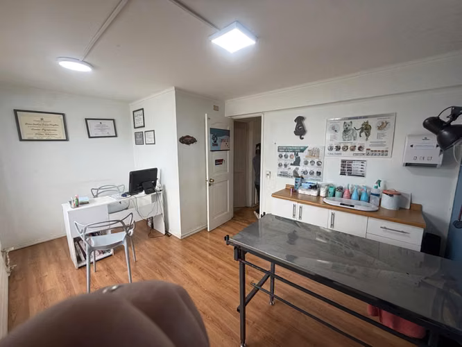 Arrendamos Excelente Casa Comercial En Av. Las Encinas De Temuco - Imagen 7