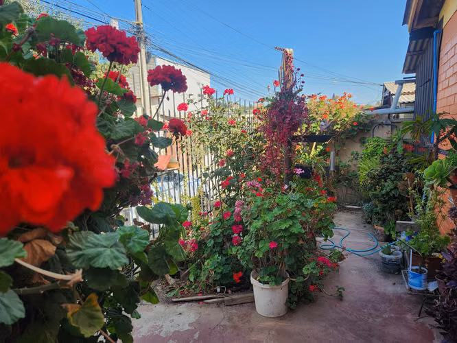 CASA UN PISO BELLOTO SUR - Imagen 17