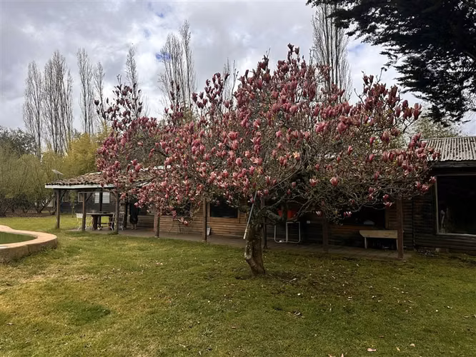 Parcela Productiva Agroindustrial en Venta cerca de Chillan. - Imagen 7