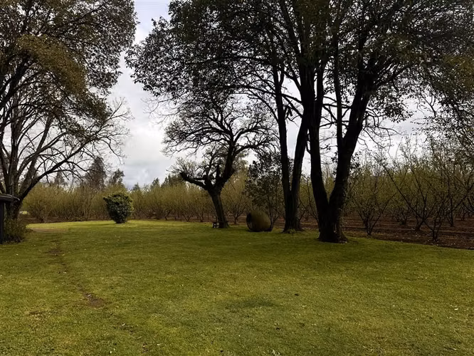 Parcela Productiva Agroindustrial en Venta cerca de Chillan. - Imagen 8