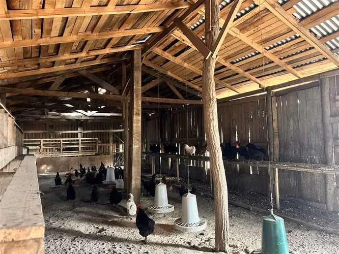 Parcela Productiva Agroindustrial en Venta cerca de Chillan. - Imagen 12
