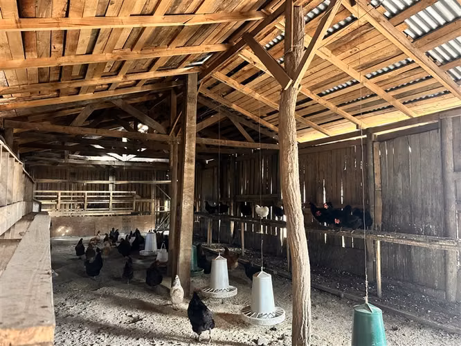 Parcela Productiva Agroindustrial en Venta cerca de Chillan. - Imagen 16