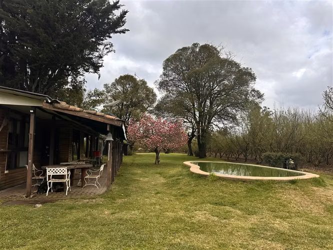 Parcela Productiva Agroindustrial en Venta cerca de Chillan. - Imagen 4