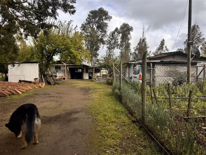 Parcela Productiva Agroindustrial en Venta cerca de Chillan. - Imagen 9
